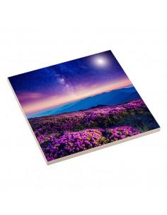 Keramische Tegel 15x15cm |... 2